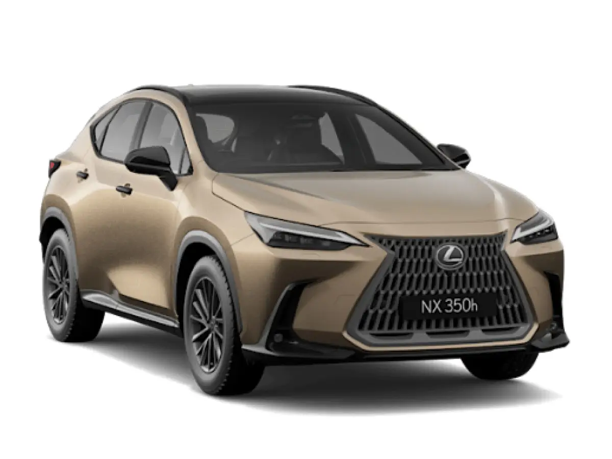 Lexus NX Moon Desert